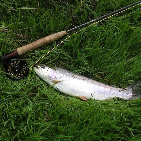 Bavaria Biohotel Szálloda Garmisch-Partenkirchen