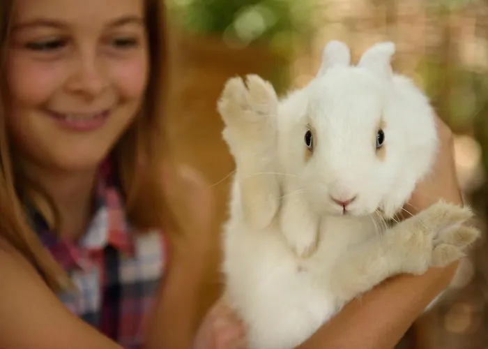 바이에른 바이오호텔 4*