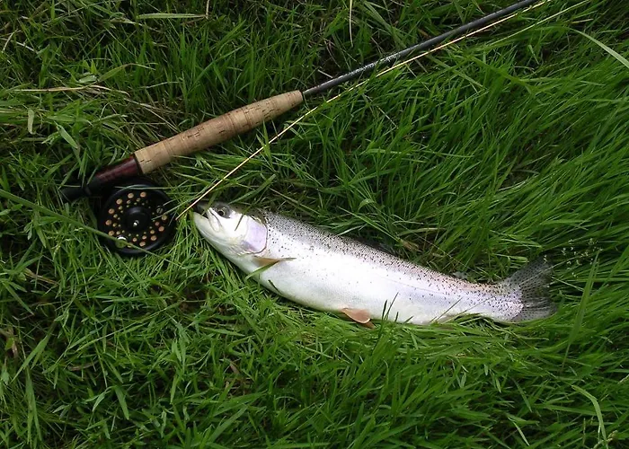 바이에른 바이오호텔 호텔 가르미슈파르텐키르헨