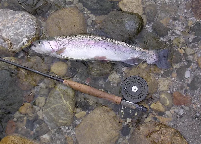 바이에른 바이오호텔 가르미슈파르텐키르헨