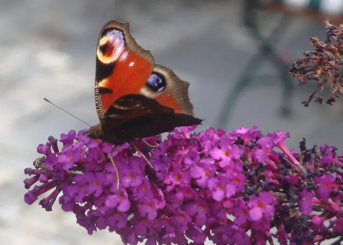 바이에른 바이오호텔 가르미슈파르텐키르헨